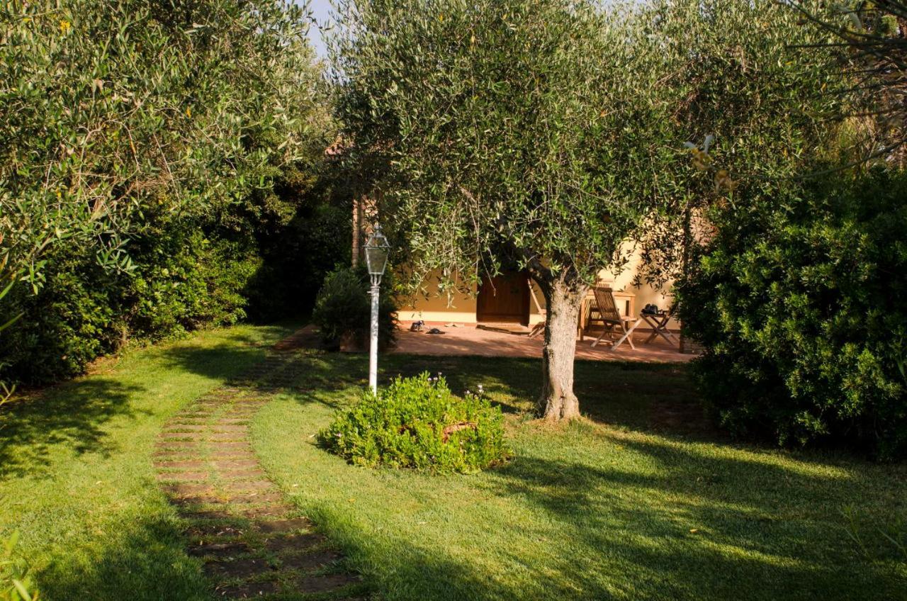Bio Agriturismo Il Melograno Di Banditella Ristorante Алберезе Екстериор снимка