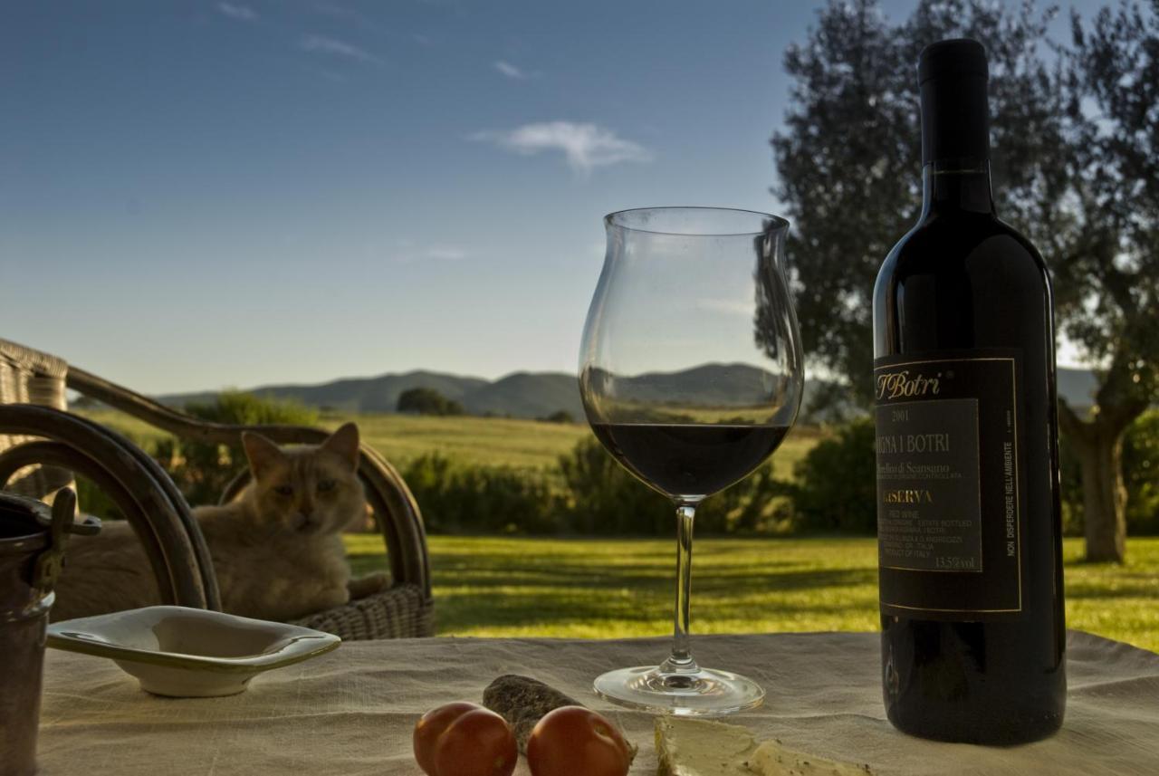 Bio Agriturismo Il Melograno Di Banditella Ristorante Алберезе Екстериор снимка