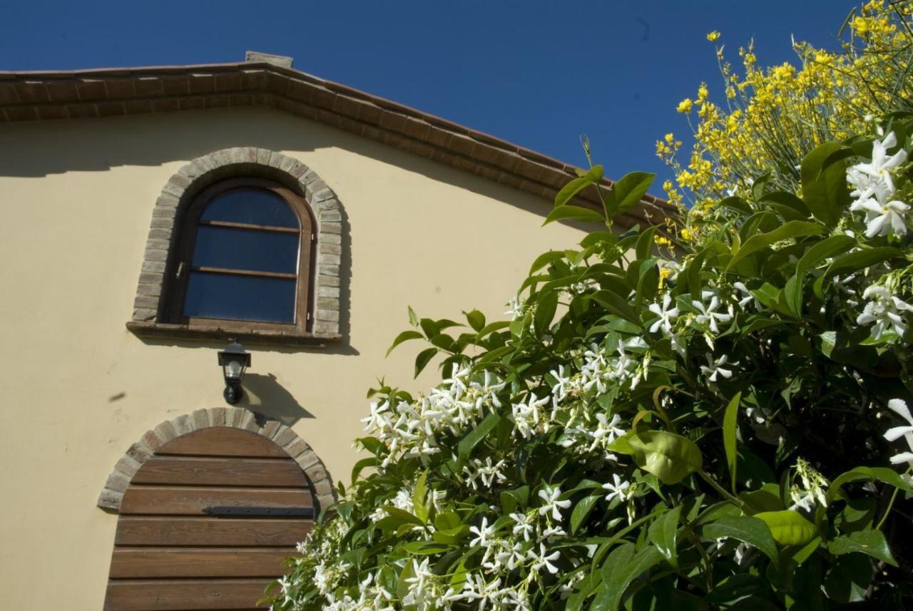 Bio Agriturismo Il Melograno Di Banditella Ristorante Алберезе Екстериор снимка